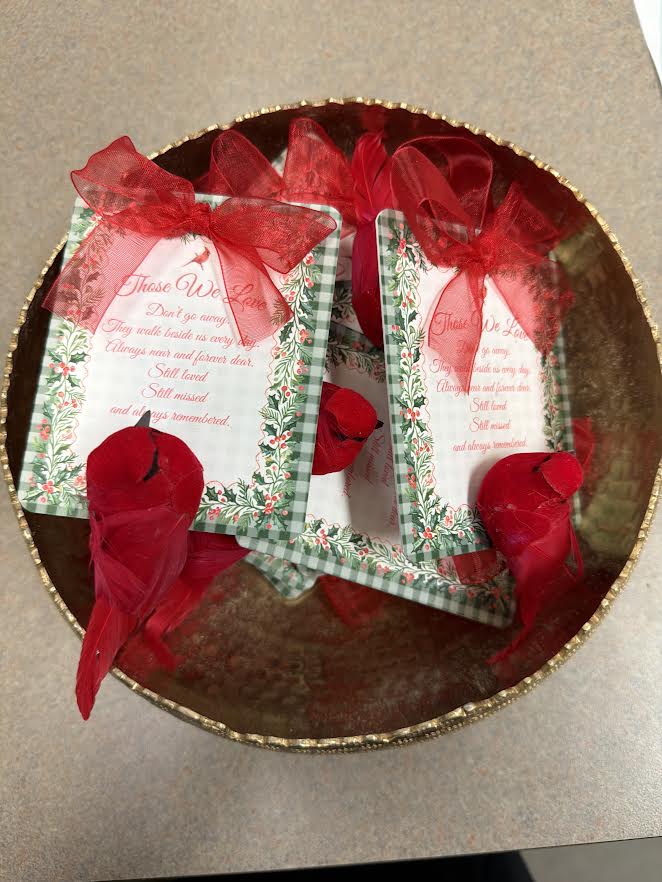 Cardinal clip on card - Christmas