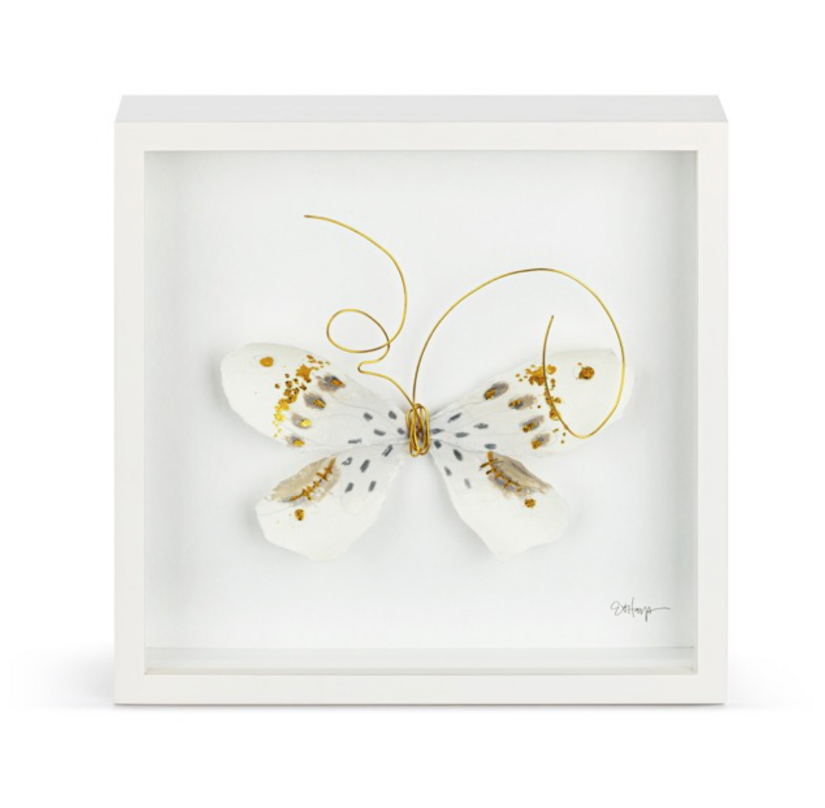 Butterfly Shadow Box, 10"