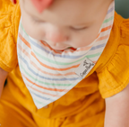 Bandana Bib, Cheery