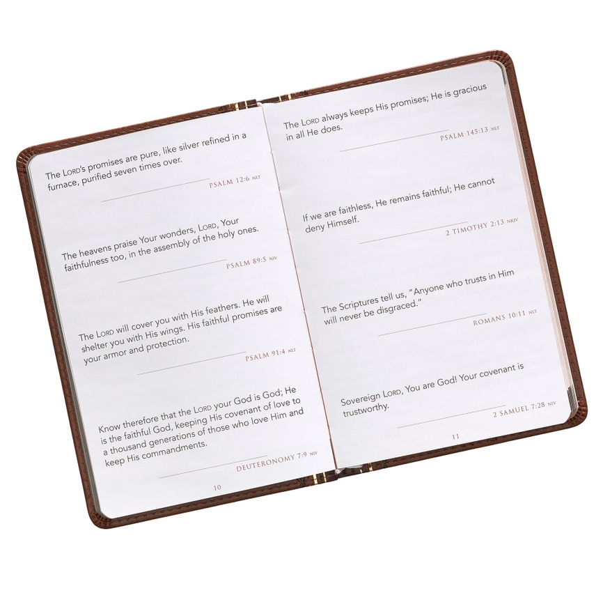 Promises from God For Every Man - Faux Leather Devotional