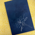 St. Joseph {Lily} Journal