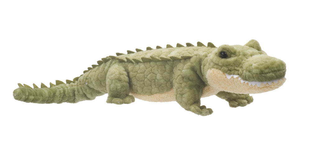 Stream Line Alligator