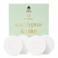Eucalyptus & Mint Shower Steamers