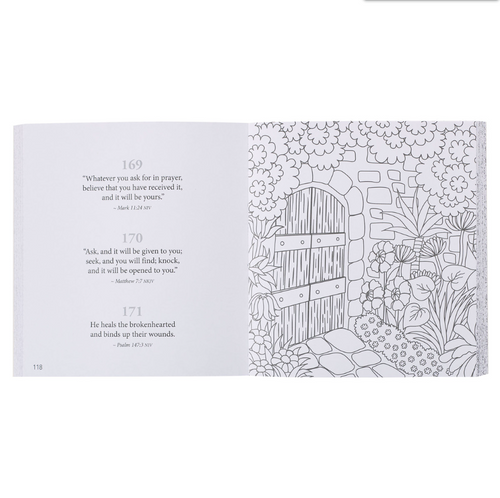 365 Promises form God to Color