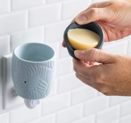 Pluggable Fragrance Warmer w/Flip Dish, Ocean Palm