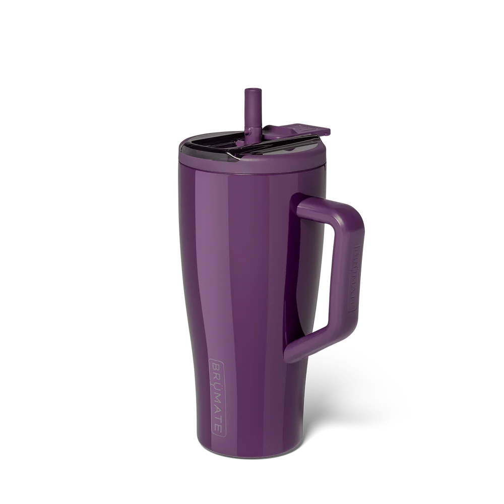 Era Flip 30oz- Plum