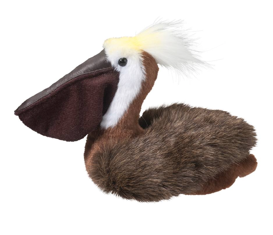 Beachy Pelican